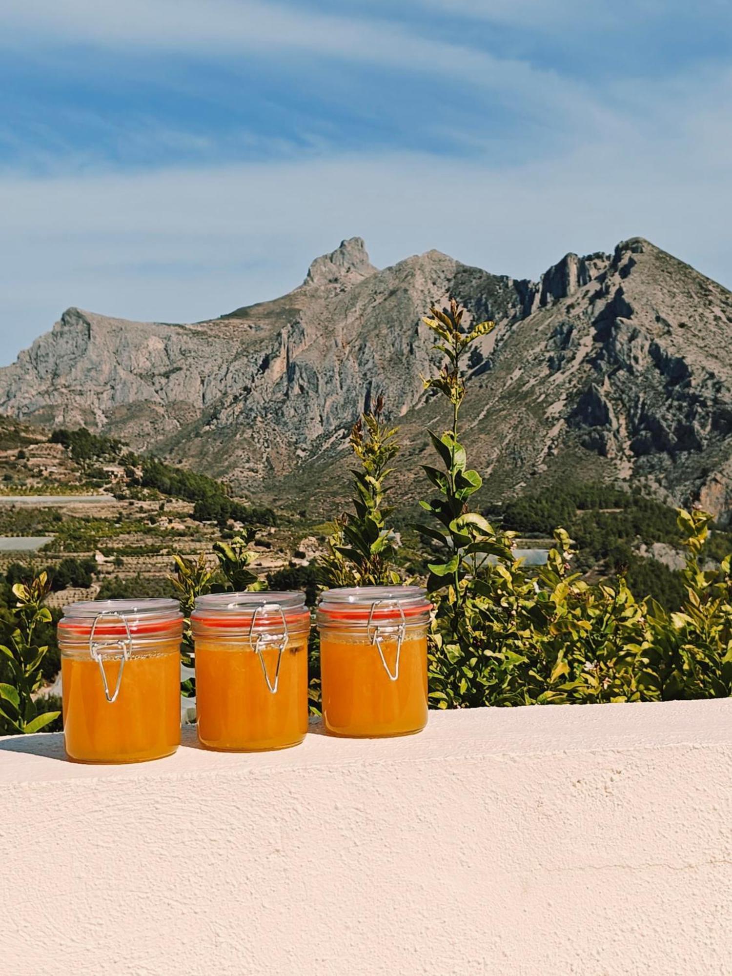 Finca Oliva Bolulla ภายนอก รูปภาพ
