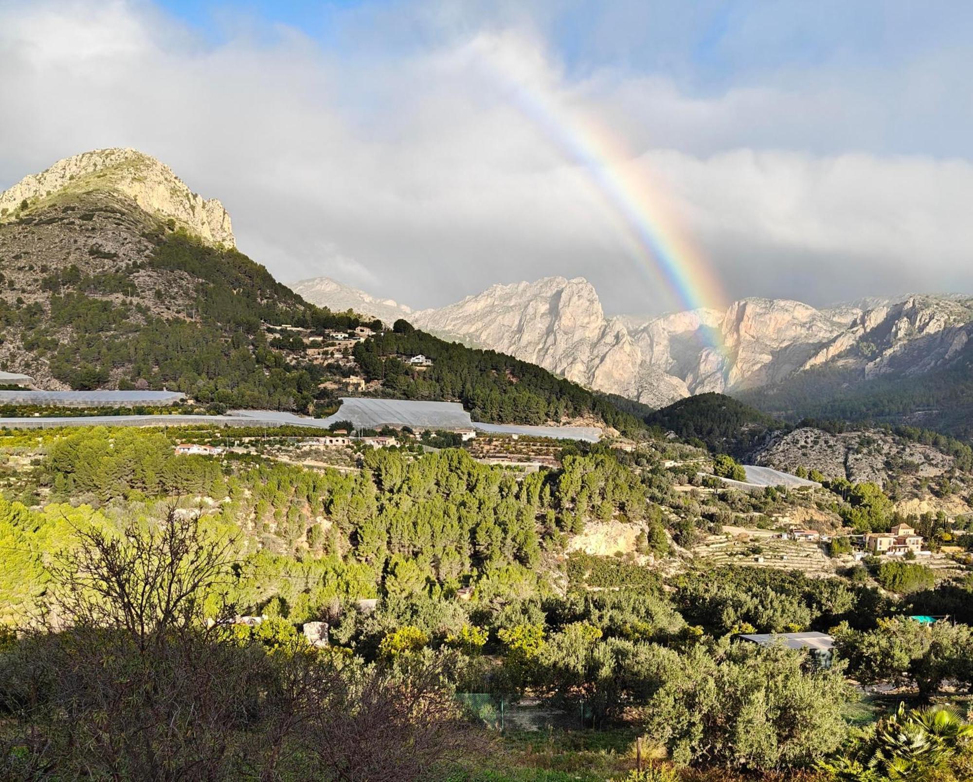 Finca Oliva Bolulla ภายนอก รูปภาพ